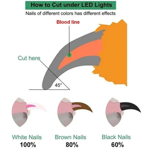 Professional Pet Nail Clippers with LED Light | Safety Trimmer Tool for Dogs & Cats