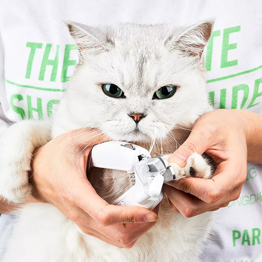 Animal Nail Grooming Tool: LED Light Clipper Scissors for Dogs and Cats