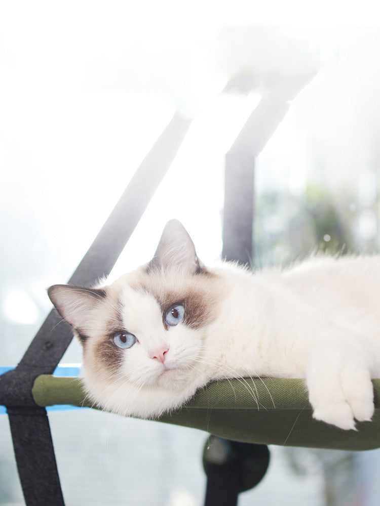Durable Cat Hanging Litter Hammock | Suction Cup Window Sill Pet Bed Swing